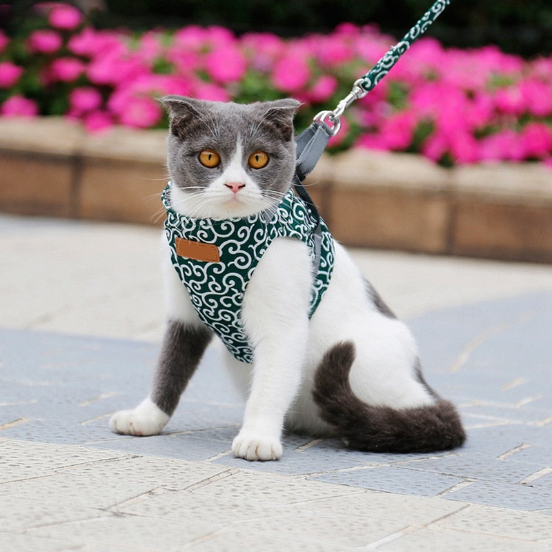 Cat Vest Outdoor Travel Harness Leash Set